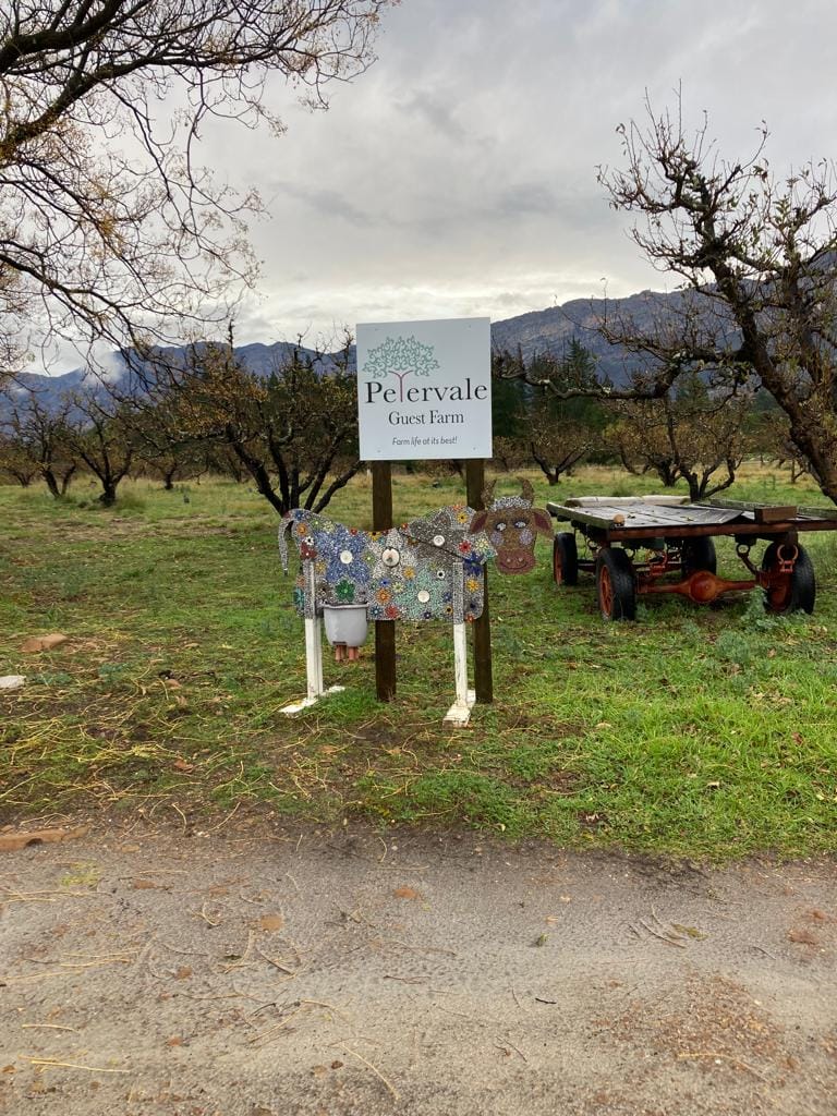 Why Our Teens Still Talk About Our Trip to Petervale Guest Farm